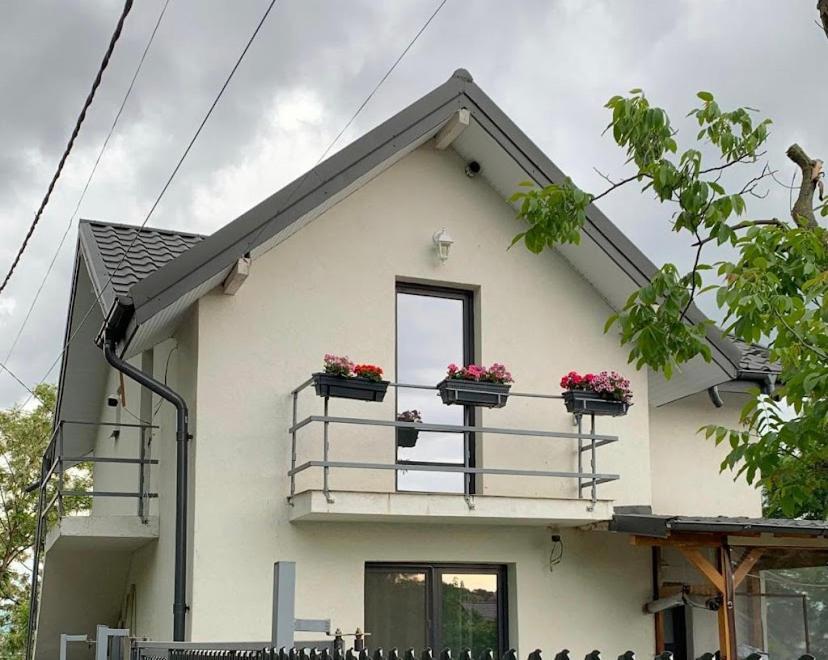 Anastasia'S Villa 雅西 外观 照片